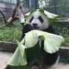 Sharonchen - @sharonchen101 - TikTok