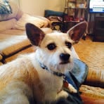 Sharon Chenoweth - Facebook