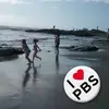 Sharon David Chenoweth - @sharon.david.chen - TikTok