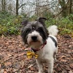 Sharon Chilton - @sharon__chilton - Instagram