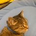 Sharon Chipman - Facebook