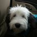 Sharon Choate - Facebook