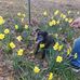 Sharon Christopherson - Facebook