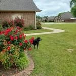 Sharon Christopherson - @christopherson.sharon - Instagram