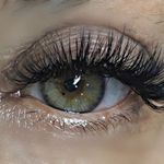 Sharon Cirillo - @cirillo3922 - Instagram