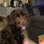 Sharon Clapp - @sharonclapp1969 - Instagram