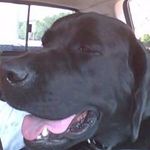 Sharon Clapp Cummings - @clappcummings - Instagram