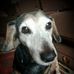 Sharon Classen - Facebook