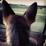 Sharon Classen - @mamaclassy_ - Instagram