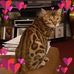Sharon Claypool Stephens - Facebook