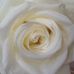 Sharon Clearwater - Facebook