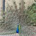 Sharon Clegg - Facebook