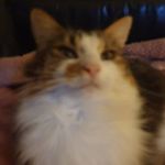 Sharon Clegg - @sharon.ann5 - Instagram
