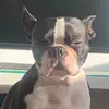 Sharon Clegg - @sharon.clegg - TikTok