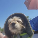 Sharon Cleland - @cleland_montana - Instagram