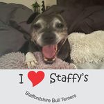 Sharon Clement - @sharon_clement_1267 - Instagram