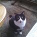 Sharon Cockrum - Facebook