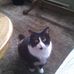 Sharon Cockrum - Facebook