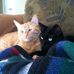 Sharon Coggins - Facebook