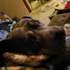 Sharon Scoggins - @sharon.scoggins - TikTok