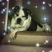 Sharon Colton - Facebook