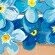 @sharoncolton15gmailcom - Instagram