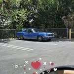 Sharon Comer - @sharon.comer - Instagram