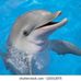 Sharon Comer - Facebook