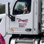 Sharon Comer - @sharoncomer1 - Instagram