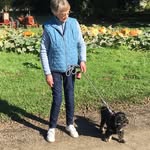 Sharon Comer - @sharon.comer.9674 - Instagram