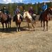 Sharon Comer - Facebook