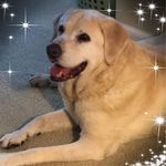 Sharon Conaway - @sharon.conaway.92 - Instagram