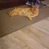 Sharon Conaway - @sharon.conaway - TikTok
