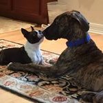 Sharon Kay Conaway - @sharonconaway - Instagram