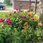 Sharon Concannon - @slconcannon - Instagram
