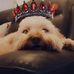Sharon Concannon - Facebook