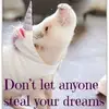 Sharon Concannon - @2180409073 - TikTok