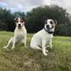 sharon coney - @sharon.coney1 - TikTok