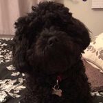 Sharon - @conlon.sharon - Instagram