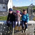 Sharon Conlon Gillick - @conlongillick - Instagram