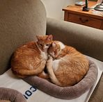 Sharon Cordle - Facebook