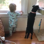 Sharon correll - @correll655 - Instagram