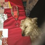 Sharon Costello - @sharon.costello.52 - Instagram