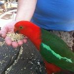 Sharon Costello - @sharoncos1967 - Instagram