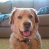 Sharon Cotter - @sharon.cotter - TikTok