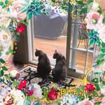 Sharon Coulter - @sharonl1581 - Instagram