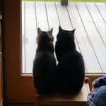 Sharon Crabill - @sharoncarbill - Instagram