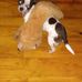 Sharon Crenshaw - Facebook
