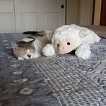 Sharon Crim - @crimfarm - Instagram