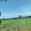 sharon.crim - @sharon.crim - TikTok